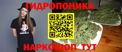 прущие грибы Можайск