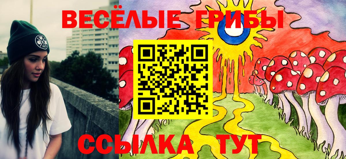 Видное  Псилоцибиновые грибы GOLDEN TEACHER  Галлюциногенные грибы Psilocybine cubensis  Вход с VPN 